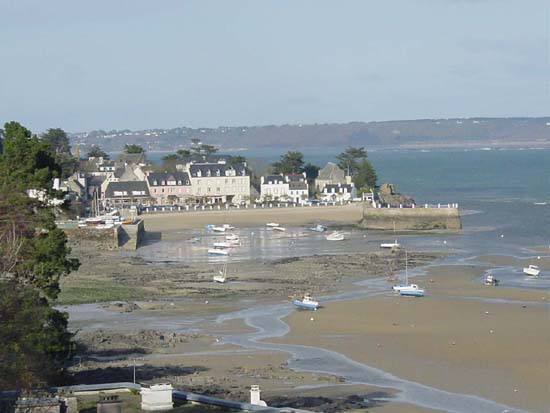 DSC03445